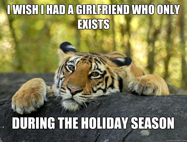 i wish i had a girlfriend who only exists  during the holiday season  Confession Tiger