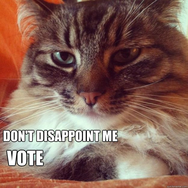 Don't disappoint me Vote  VoteCat