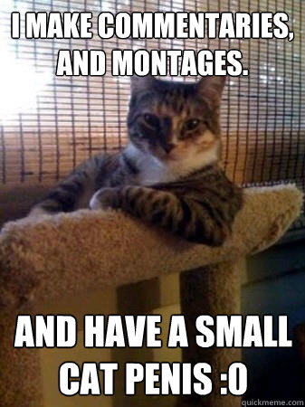 I make commentaries, and montages. and have a small cat penis :0  The Most Interesting Cat in the World