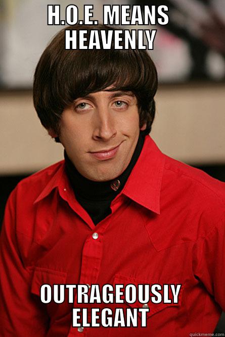 H.O.E. MEANS  HEAVENLY OUTRAGEOUSLY ELEGANT Pickup Line Scientist