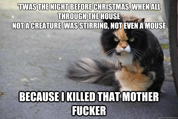 'twas the night before christmas, when all through the house
not a creature  was stirring, not even a mouse Because i killed that mother fucker - 'twas the night before christmas, when all through the house
not a creature  was stirring, not even a mouse Because i killed that mother fucker  Angry Cat