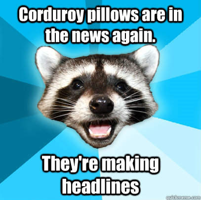 Corduroy pillows are in the news again. They're making headlines  Lame Pun Coon