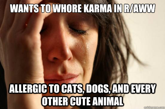 Wants to whore karma in r/aww allergic to cats, dogs, and every other cute animal  First World Problems