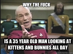 why the fuck IS A 35 YEAR OLD MAN LOOKING AT KITTENS AND BUNNIES ALL DAY  Annoyed Picard