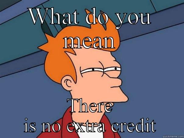 WHAT DO YOU MEAN THERE IS NO EXTRA CREDIT Futurama Fry