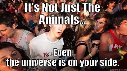 IT'S NOT JUST THE ANIMALS... EVEN THE UNIVERSE IS ON YOUR SIDE. Sudden Clarity Clarence