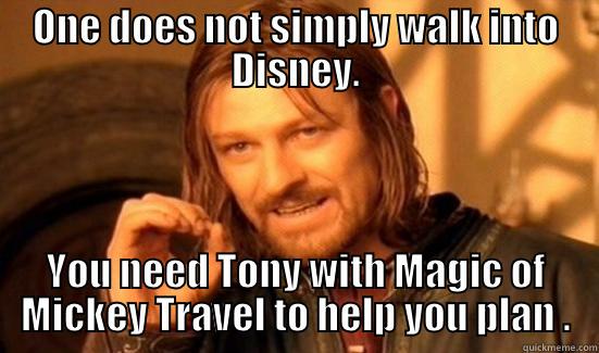 ONE DOES NOT SIMPLY WALK INTO DISNEY. YOU NEED TONY WITH MAGIC OF MICKEY TRAVEL TO HELP YOU PLAN . Boromir