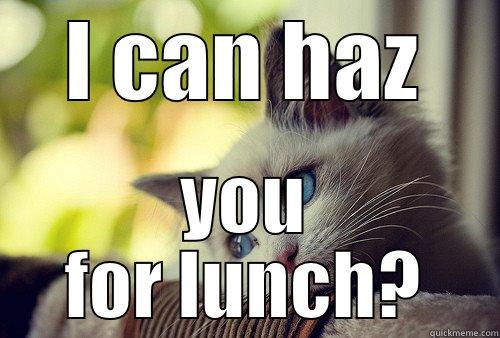 I CAN HAZ YOU FOR LUNCH? First World Problems Cat