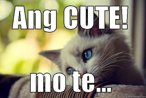 ANG CUTE! MO TE... First World Problems Cat