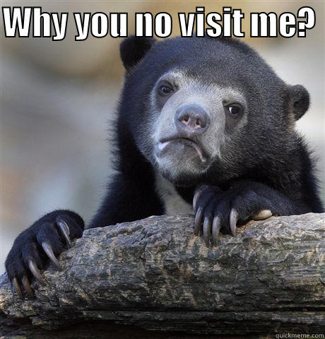 WHY YOU NO VISIT ME?   Confession Bear