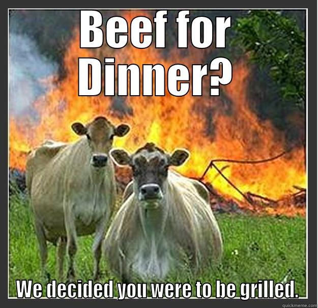 They said Beef was for dinner - BEEF FOR DINNER? WE DECIDED YOU WERE TO BE GRILLED. Evil cows