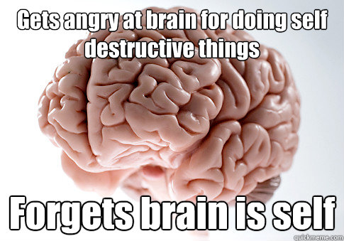 Gets angry at brain for doing self destructive things Forgets brain is self - Gets angry at brain for doing self destructive things Forgets brain is self  Scumbag Brain