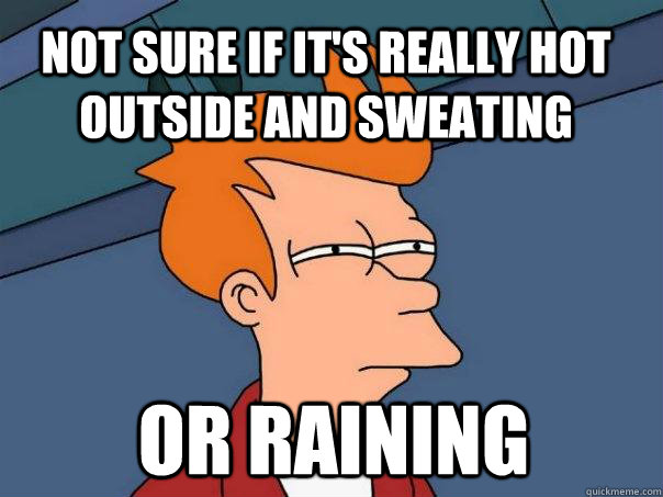 Not sure if it's really hot outside and sweating Or raining  Futurama Fry