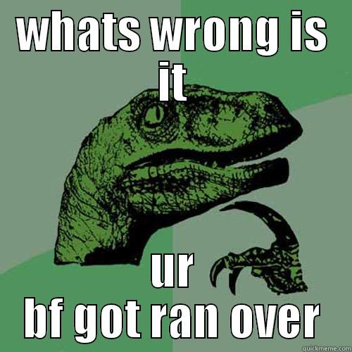 WHATS WRONG IS IT UR BF GOT RAN OVER Philosoraptor