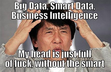 BIG DATA, SMART DATA, BUSINESS INTELLIGENCE MY HEAD IS JUST FULL OF FUCK, WITHOUT THE SMART EPIC JACKIE CHAN
