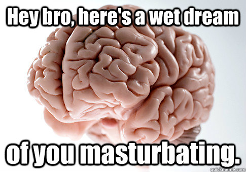 Hey bro, here's a wet dream of you masturbating.  - Hey bro, here's a wet dream of you masturbating.   Scumbag Brain