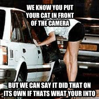 we know you put your cat in front of the camera  but we can say it did that on its own if thats what your into  Straight Hooker