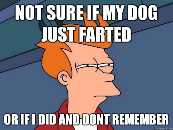 Not sure if my dog just farted Or if i did and dont remember  Futurama Fry