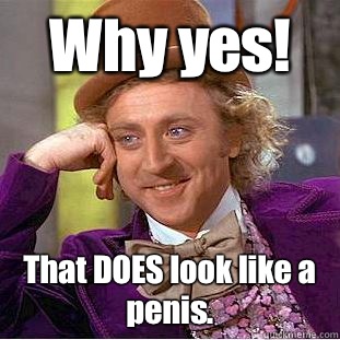 Why yes! That DOES look like a penis.  Condescending Wonka