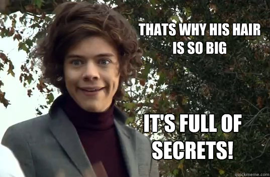 Thats why his hair is so big IT's full of secrets! - Thats why his hair is so big IT's full of secrets!  harry styles bewbs
