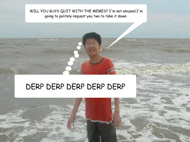 DERP DERP DERP DERP DERP WILL YOU GUYS QUIT WITH THE MEMES? I'm not amused.I'm going to politely request you two to take it down.  