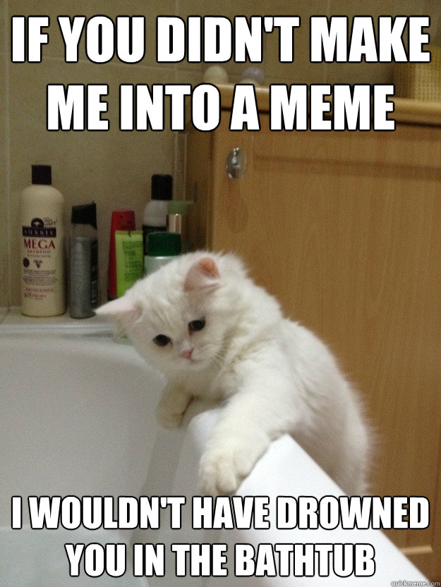 If you didn't make me into a meme I wouldn't have drowned you in the bathtub - If you didn't make me into a meme I wouldn't have drowned you in the bathtub  Evil Hindsight Cat