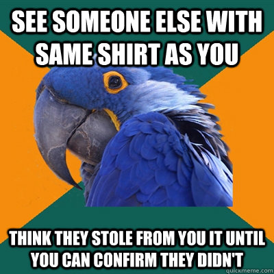 See someone else with same shirt as you Think they stole from you it until you can confirm they didn't - See someone else with same shirt as you Think they stole from you it until you can confirm they didn't  Paranoid Parrot
