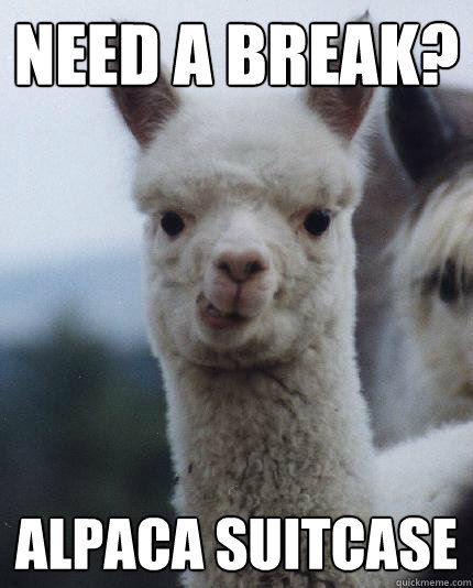 need a break? Alpaca Suitcase  ALPACA