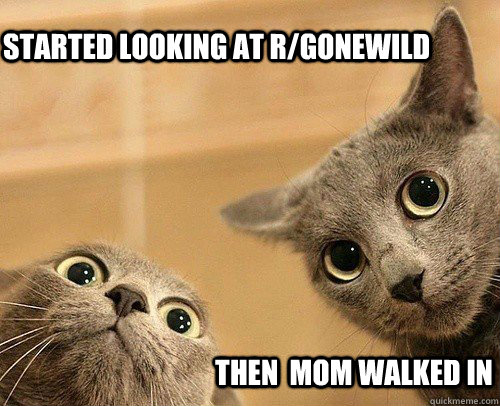 Started looking at r/gonewild Then  mom walked in  Oh Shit Cat
