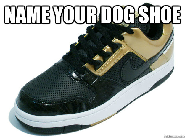 name your dog shoe  - name your dog shoe   Scumbag Shoe