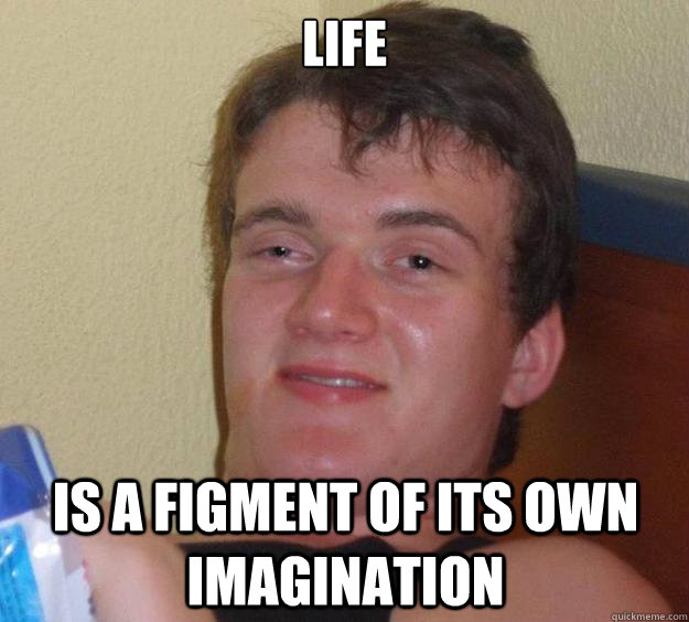 life is a figment of its own imagination  10 Guy