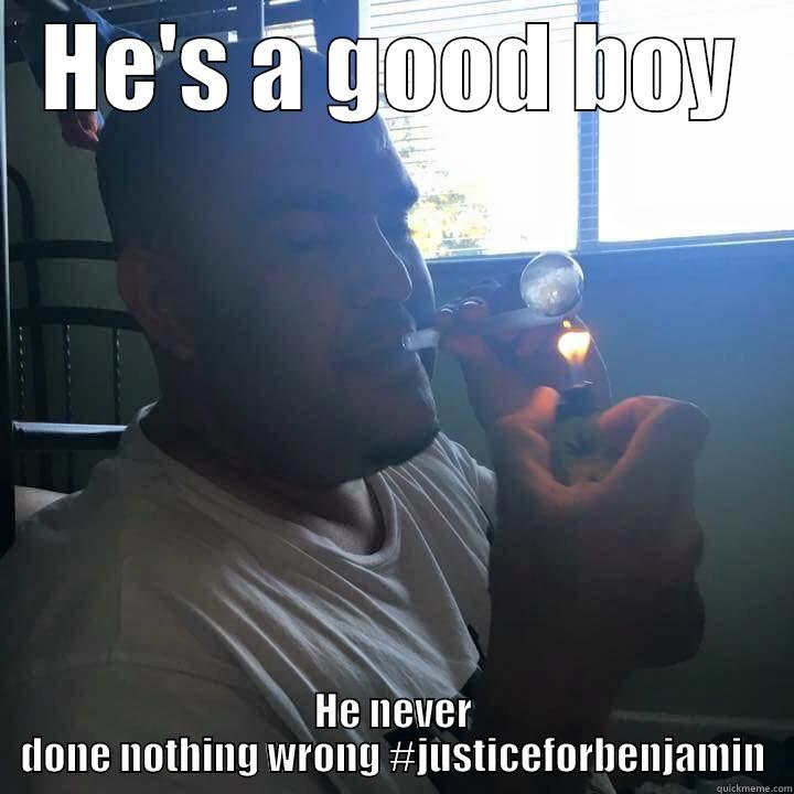 HE'S A GOOD BOY HE NEVER DONE NOTHING WRONG #JUSTICEFORBENJAMIN Misc