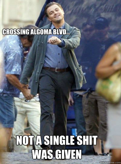Crossing Algoma Blvd... Not a single shit was given - Crossing Algoma Blvd... Not a single shit was given  Leonardo DiHapprio