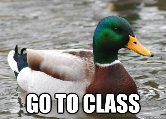  GO to class -  GO to class  Actual Advice Mallard