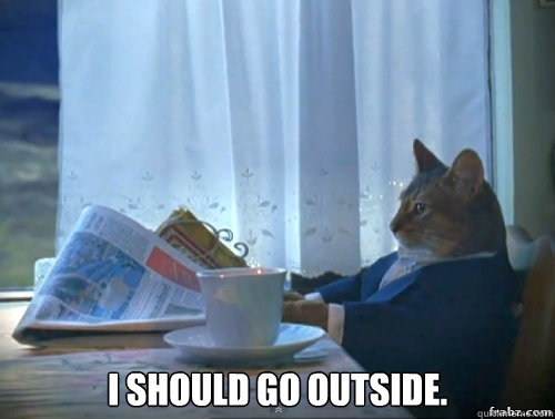  I should go outside.  Contemplative Breakfast Cat