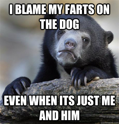 I blame my farts on the dog even when its just me and him  Confession Bear