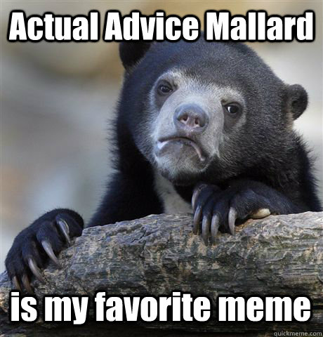 Actual Advice Mallard is my favorite meme  Confession Bear