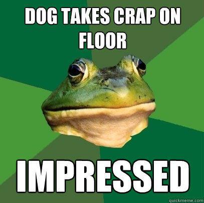 DOG TAKES CRAP ON FLOOR IMPRESSED  Foul Bachelor Frog