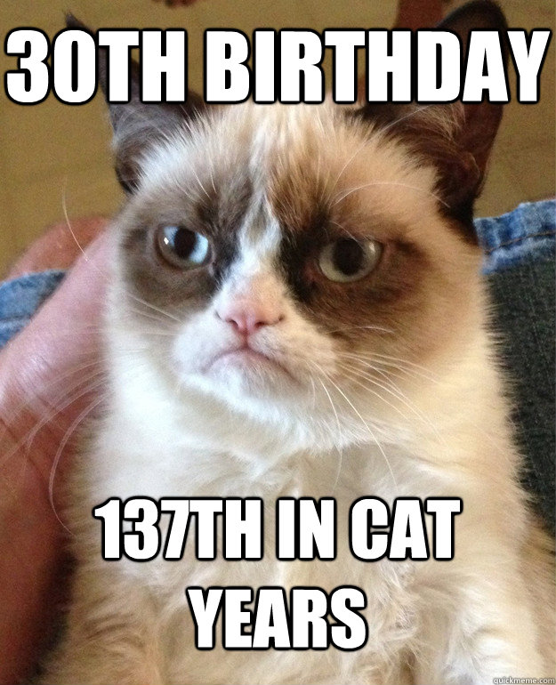 30th birthday 137th in cat years  Grumpy Cat