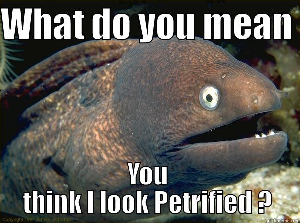 WHAT DO YOU MEAN  YOU THINK I LOOK PETRIFIED ? Bad Joke Eel