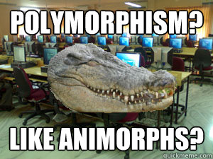 polymorphism? like animorphs?  