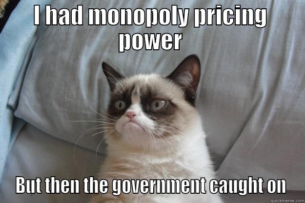 econ meme - I HAD MONOPOLY PRICING POWER BUT THEN THE GOVERNMENT CAUGHT ON Grumpy Cat