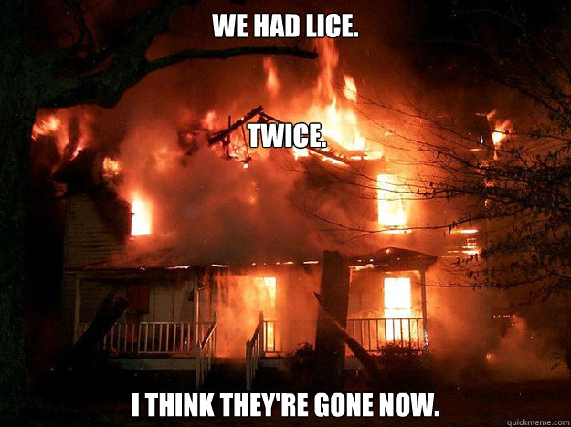 We had Lice. I think they're gone now. twice.  set fire to the rain