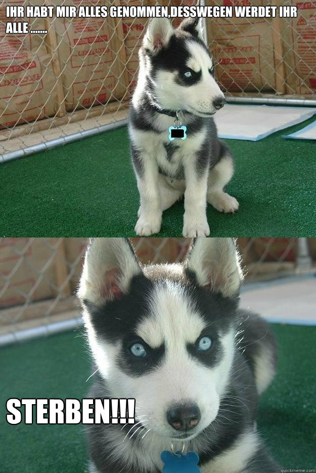 Ihr habt mir alles genommen,desswegen werdet ihr alle ....... Sterben!!!  Insanity puppy