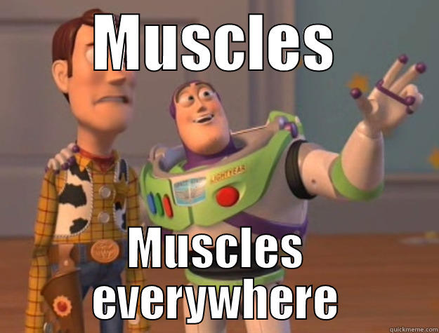 MUSCLES MUSCLES EVERYWHERE Toy Story