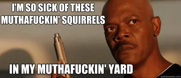 I'm so sick of these muthafuckin' squirrels in my muthafuckin' yard  Snakes on a Plane Sammy Jackson