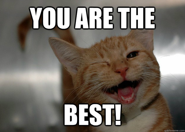 You are the Best! - You are the Best!  Sarcastic Cat