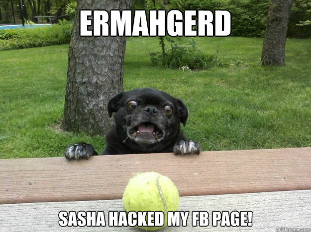 Ermahgerd sasha hacked my fb page!   Berks Dog