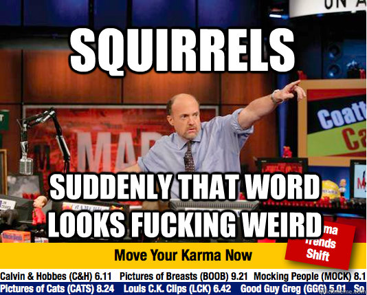 squirrels  suddenly that word looks fucking weird - squirrels  suddenly that word looks fucking weird  Misc