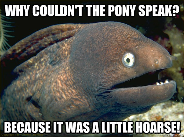 Why couldn't the pony speak? Because it was a little hoarse!  Bad Joke Eel